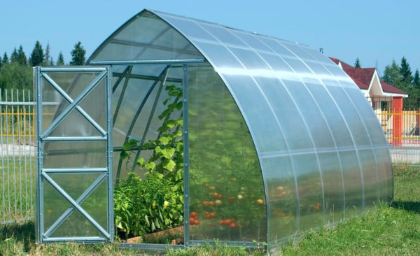 Теплиця з полікарбонату: як зібрати своїми руками